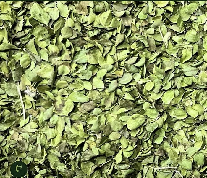 Thymus 
